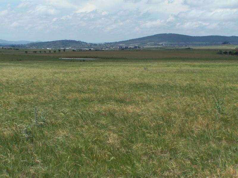 Lot 14 Windellama Road, Goulburn NSW 2580