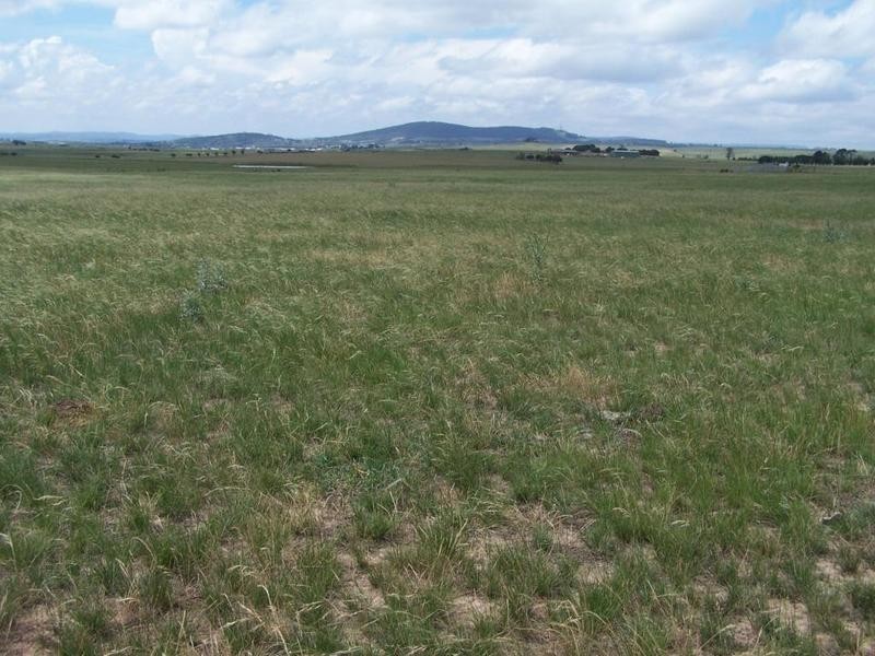 Lot 14 Windellama Road, Goulburn NSW 2580