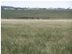 Lot 14 Windellama Road, Goulburn NSW 2580