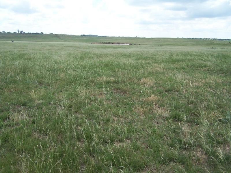 Lot 14 Windellama Road, Goulburn NSW 2580