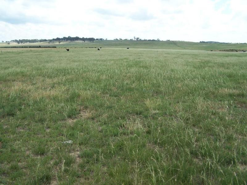 Lot 14 Windellama Road, Goulburn NSW 2580