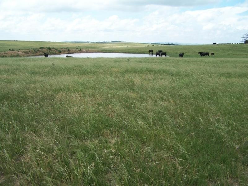 Lot 14 Windellama Road, Goulburn NSW 2580