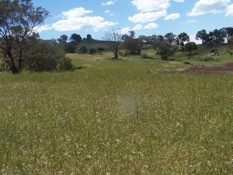 “Decca Valley” Decca Road, Bigga NSW 2583