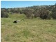 “Decca Valley” Decca Road, Bigga NSW 2583