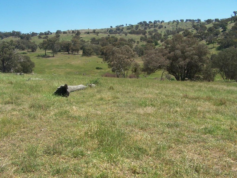 “Decca Valley” Decca Road, Bigga NSW 2583
