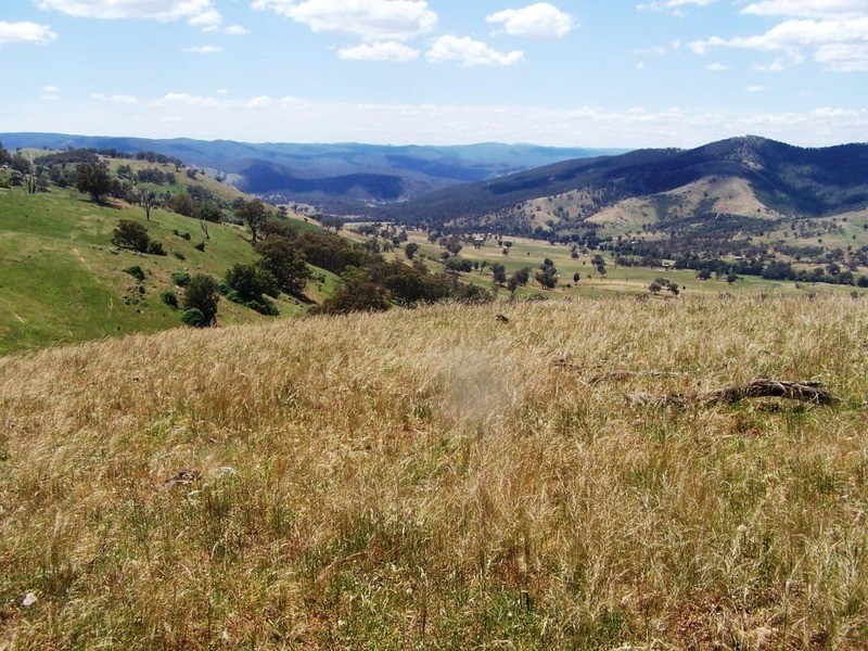 “Decca Valley” Decca Road, Bigga NSW 2583