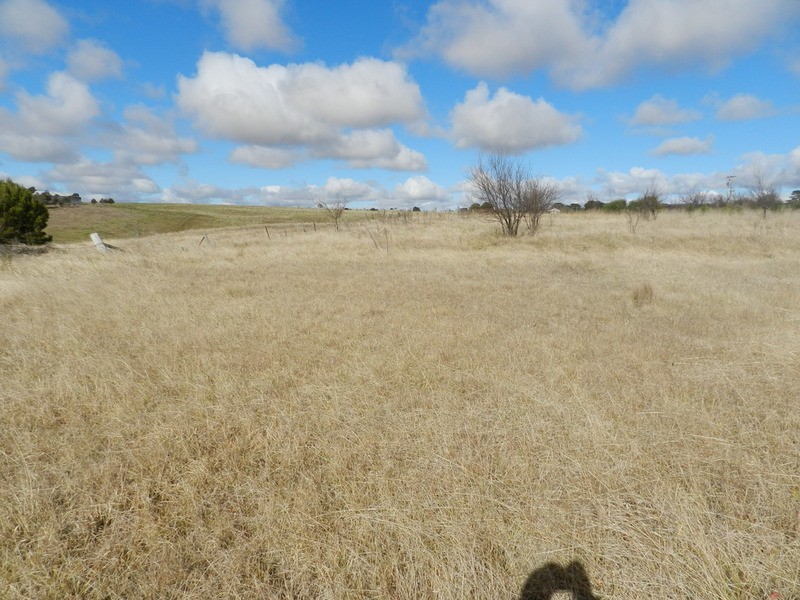 2 (Lot1) Walsh  Street, Taralga NSW 2580
