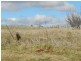 2 (Lot1) Walsh  Street, Taralga NSW 2580