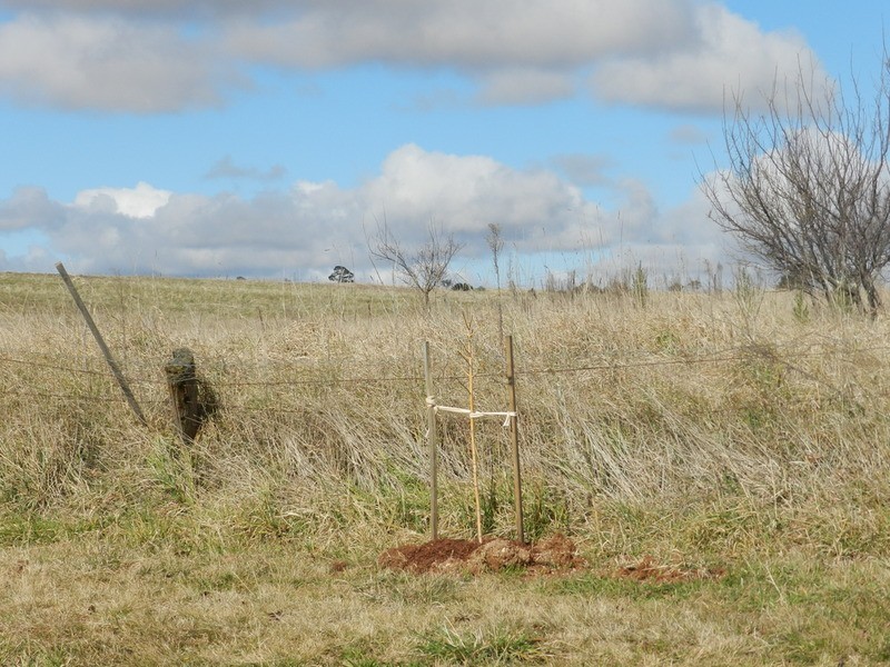 2 (Lot1) Walsh  Street, Taralga NSW 2580