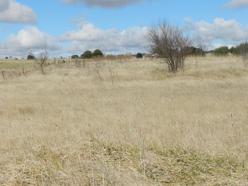 2 (Lot1) Walsh  Street, Taralga NSW 2580