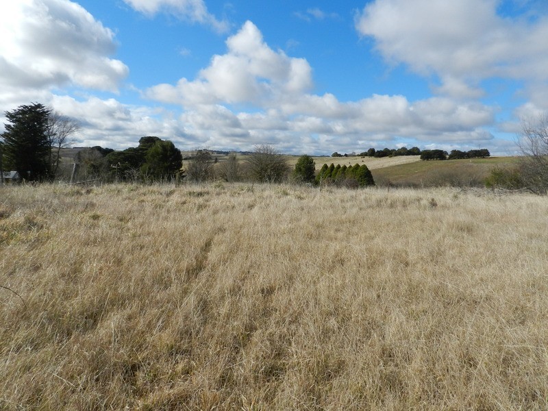 2 (Lot1) Walsh  Street, Taralga NSW 2580