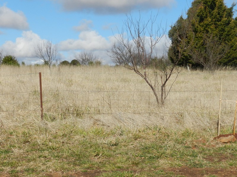 1 (Lot 2) Walsh  Street, Taralga NSW 2580
