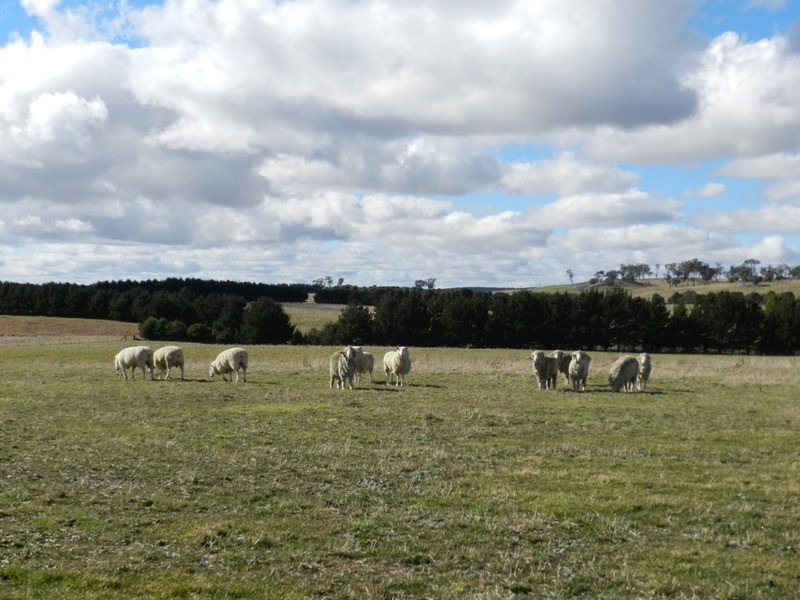 Lot 2 Taralga Road, Laggan NSW 2583