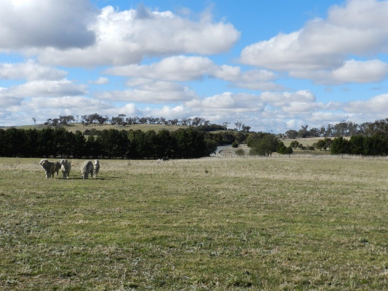 Lot 2 Taralga Road, Laggan NSW 2583