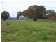 168 Decca Road, Bigga NSW 2583