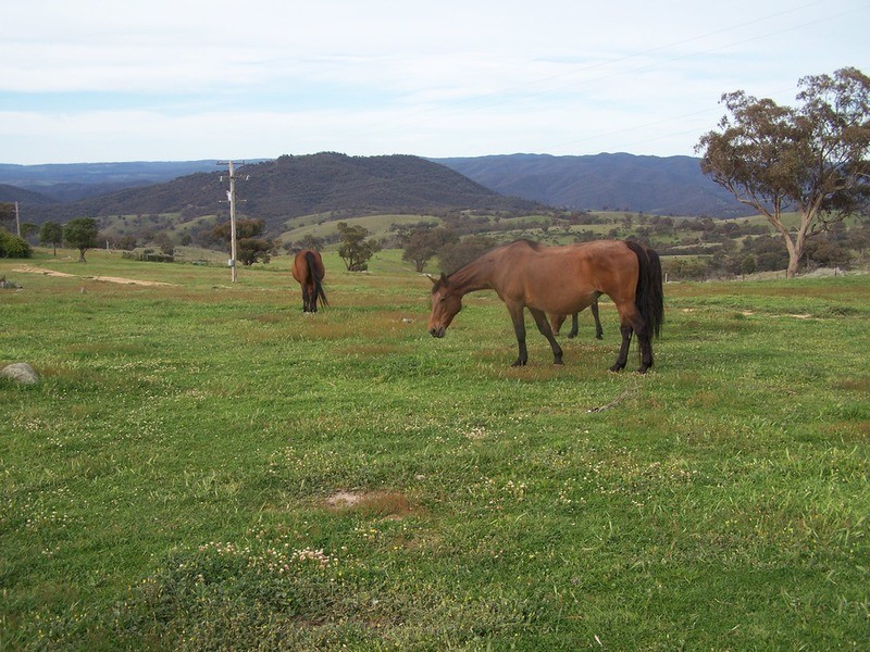 168 Decca Road, Bigga NSW 2583