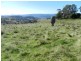 168 Decca Road, Bigga NSW 2583