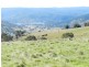 168 Decca Road, Bigga NSW 2583