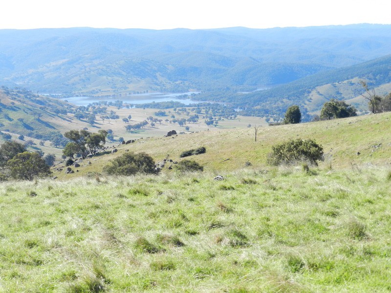 168 Decca Road, Bigga NSW 2583