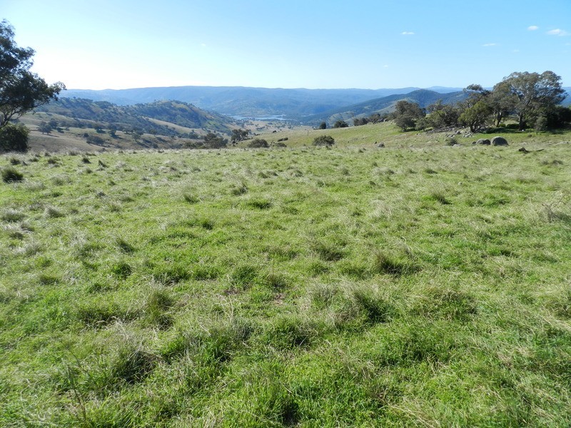 168 Decca Road, Bigga NSW 2583