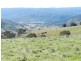 168 Decca Road, Bigga NSW 2583