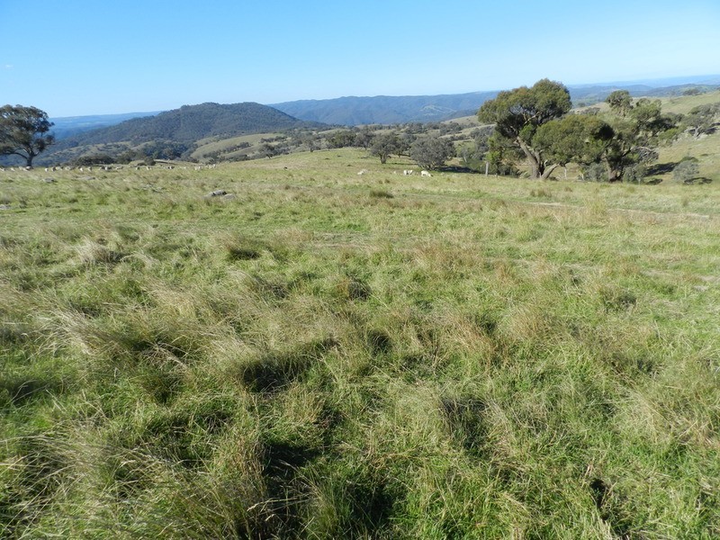 168 Decca Road, Bigga NSW 2583