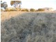 17 Melliodora Drive, Goulburn NSW 2580