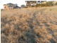 17 Melliodora Drive, Goulburn NSW 2580