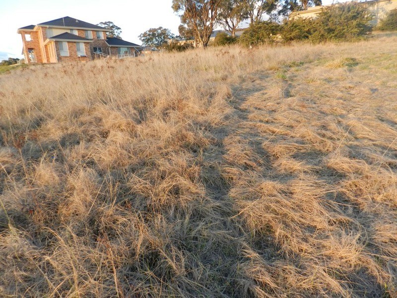 17 Melliodora Drive, Goulburn NSW 2580