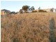 17 Melliodora Drive, Goulburn NSW 2580
