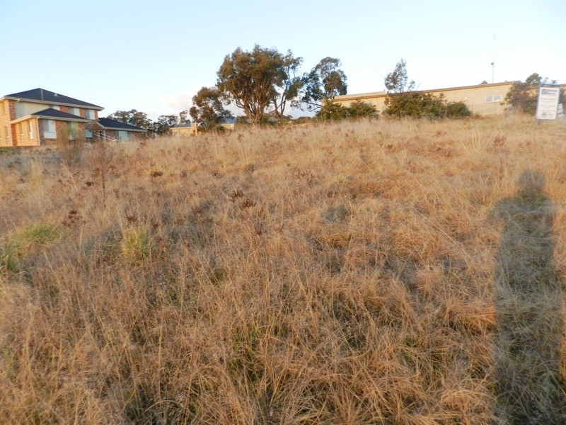 17 Melliodora Drive, Goulburn NSW 2580