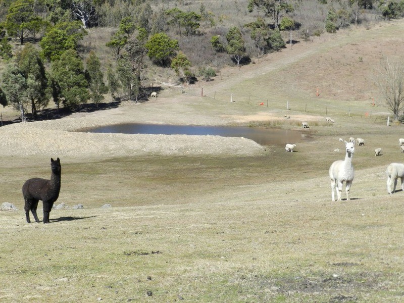 107 Arthurs  Road, Towrang NSW 2580