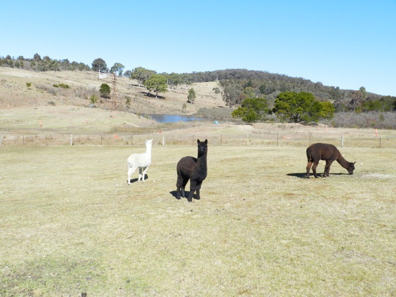 107 Arthurs  Road, Towrang NSW 2580