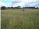 “Willowvale” Mullins Creek  Road, Breadalbane NSW 2581