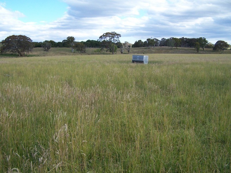 “Willowvale” Mullins Creek  Road, Breadalbane NSW 2581