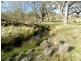 “Willowvale” Mullins Creek  Road, Breadalbane NSW 2581