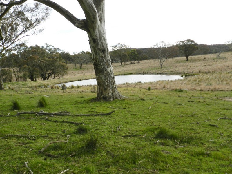 “Willowvale” Mullins Creek  Road, Breadalbane NSW 2581