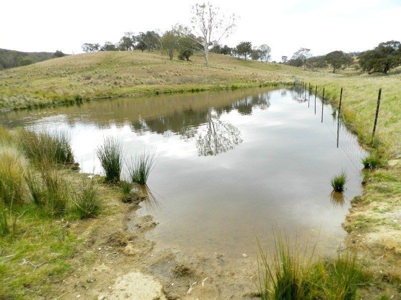 “Willowvale” Mullins Creek  Road, Breadalbane NSW 2581