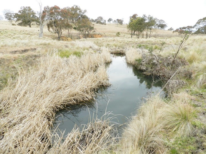 “Willowvale” Mullins Creek  Road, Breadalbane NSW 2581