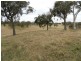 “Willowvale” Mullins Creek  Road, Breadalbane NSW 2581