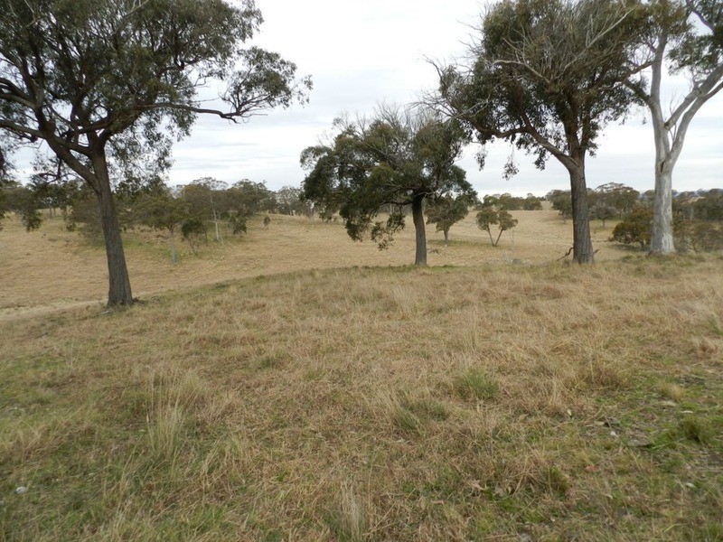 “Willowvale” Mullins Creek  Road, Breadalbane NSW 2581