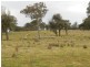 “Willowvale” Mullins Creek  Road, Breadalbane NSW 2581