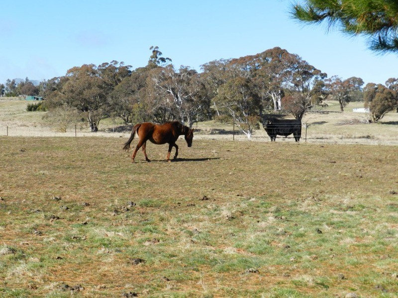 Lot 1 Hewitts Lane, Grabben Gullen NSW 2583