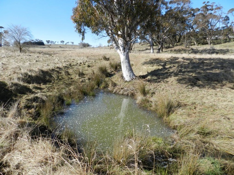 Lot 1 Hewitts Lane, Grabben Gullen NSW 2583