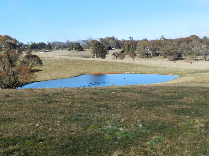 Lot 1 Hewitts Lane, Grabben Gullen NSW 2583