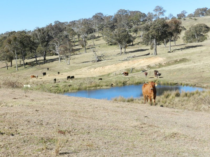 Lot 13 Fullerton Road, Fullerton NSW 2583