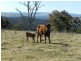 Lot 13 Fullerton Road, Fullerton NSW 2583