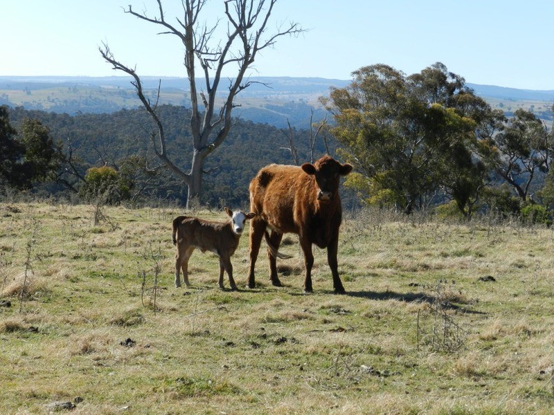 Lot 13 Fullerton Road, Fullerton NSW 2583