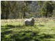 Lot 13 Fullerton Road, Fullerton NSW 2583