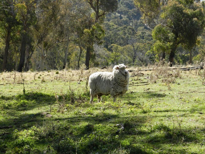 Lot 13 Fullerton Road, Fullerton NSW 2583